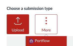 submission type portflow in canvas.png Submission type Portflow in Canvas assignment