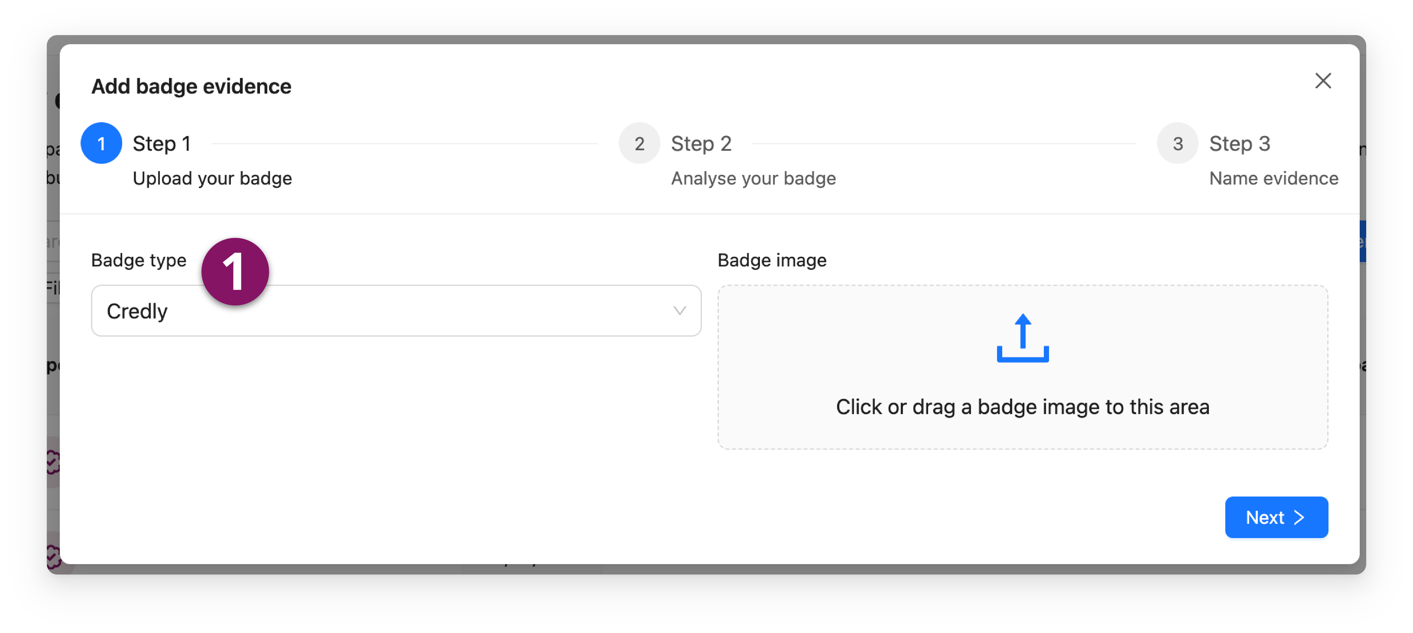 Choose badge provider